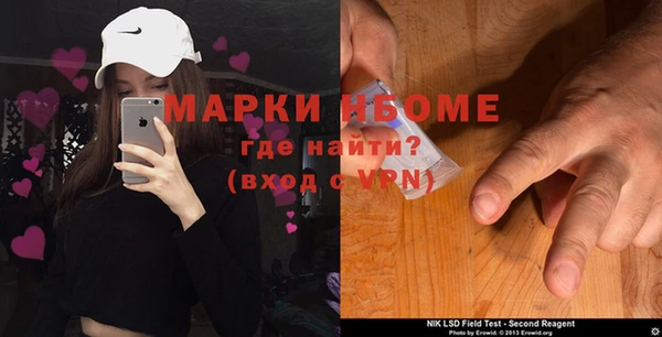 шишки Корсаков
