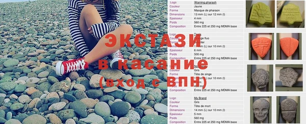 шишки Корсаков