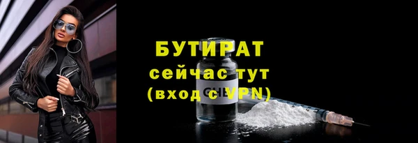 шишки Корсаков