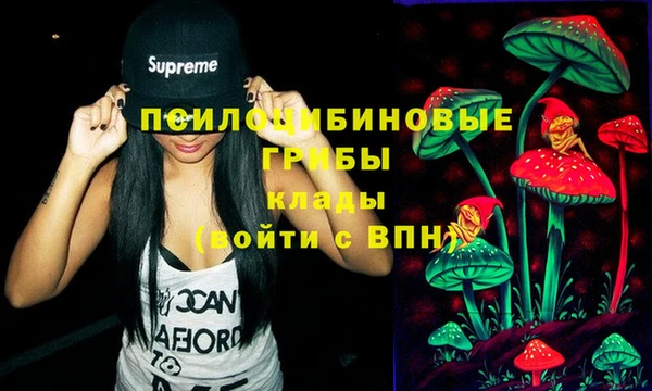 apvp Коряжма
