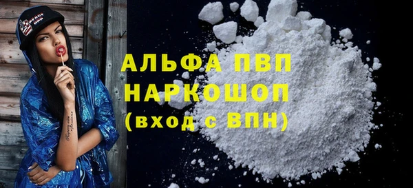 шишки Корсаков