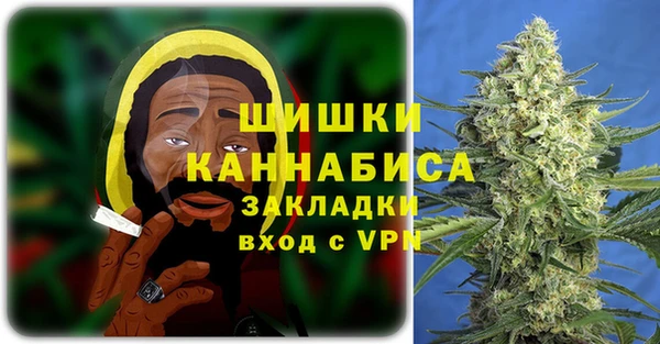 шишки Корсаков