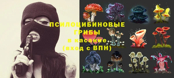 шишки Корсаков