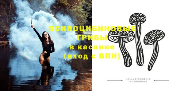 apvp Коряжма