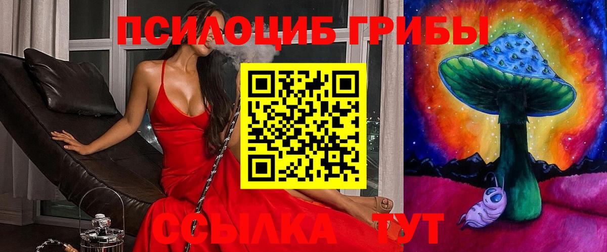 Псилоцибиновые грибы мицелий Малгобек