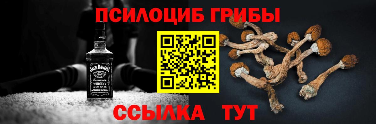 Галлюциногенные грибы Cubensis  Галлюциногенные грибы Magic Shrooms  Малгобек  Вход с VPN 